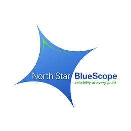 Northstarbluescope logo