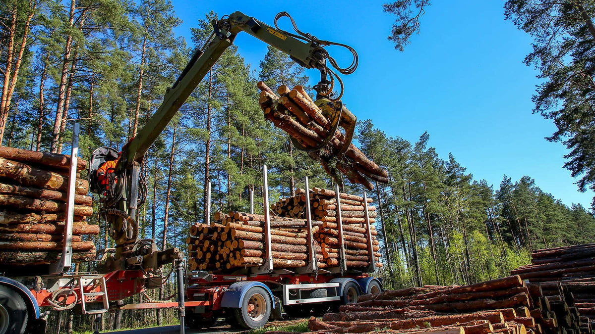 Logging & Forestry Safety Solutions | Speedshield
