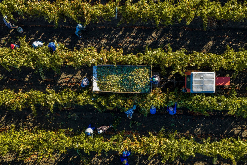 Protecting Workers During Harvesting